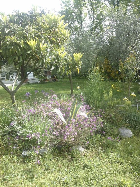 B&B Villa Ada Формия Экстерьер фото